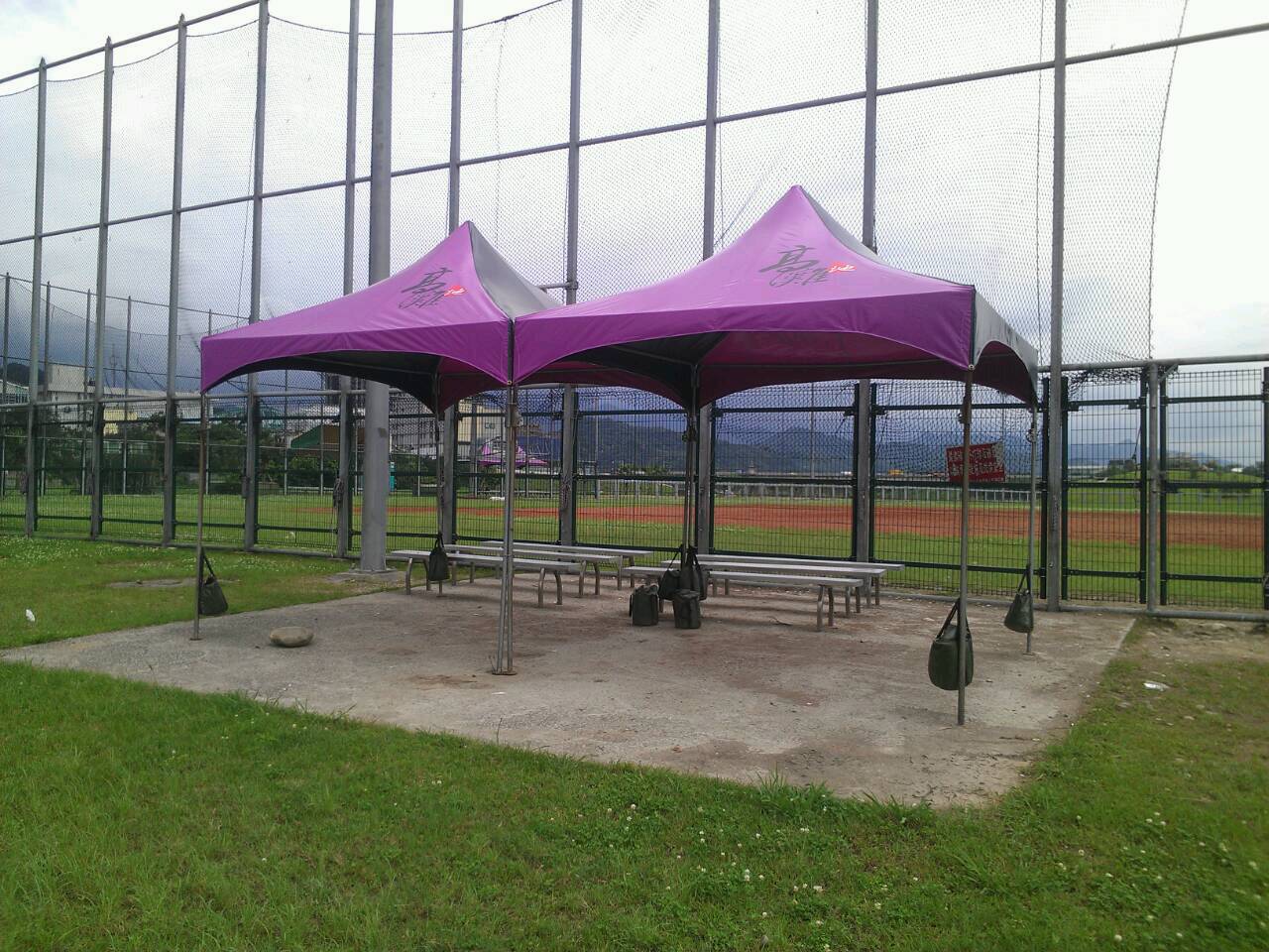 紫色帳篷