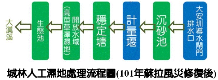 城林人工溼地處理流程圖(101年蘇拉風災修復後)：大漢溪←生態池←開放水域(高莖草澤溼地)←穩定塘←計量堰←沉砂池←大安圳導水閘門排水口
