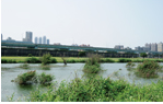 生態池圖