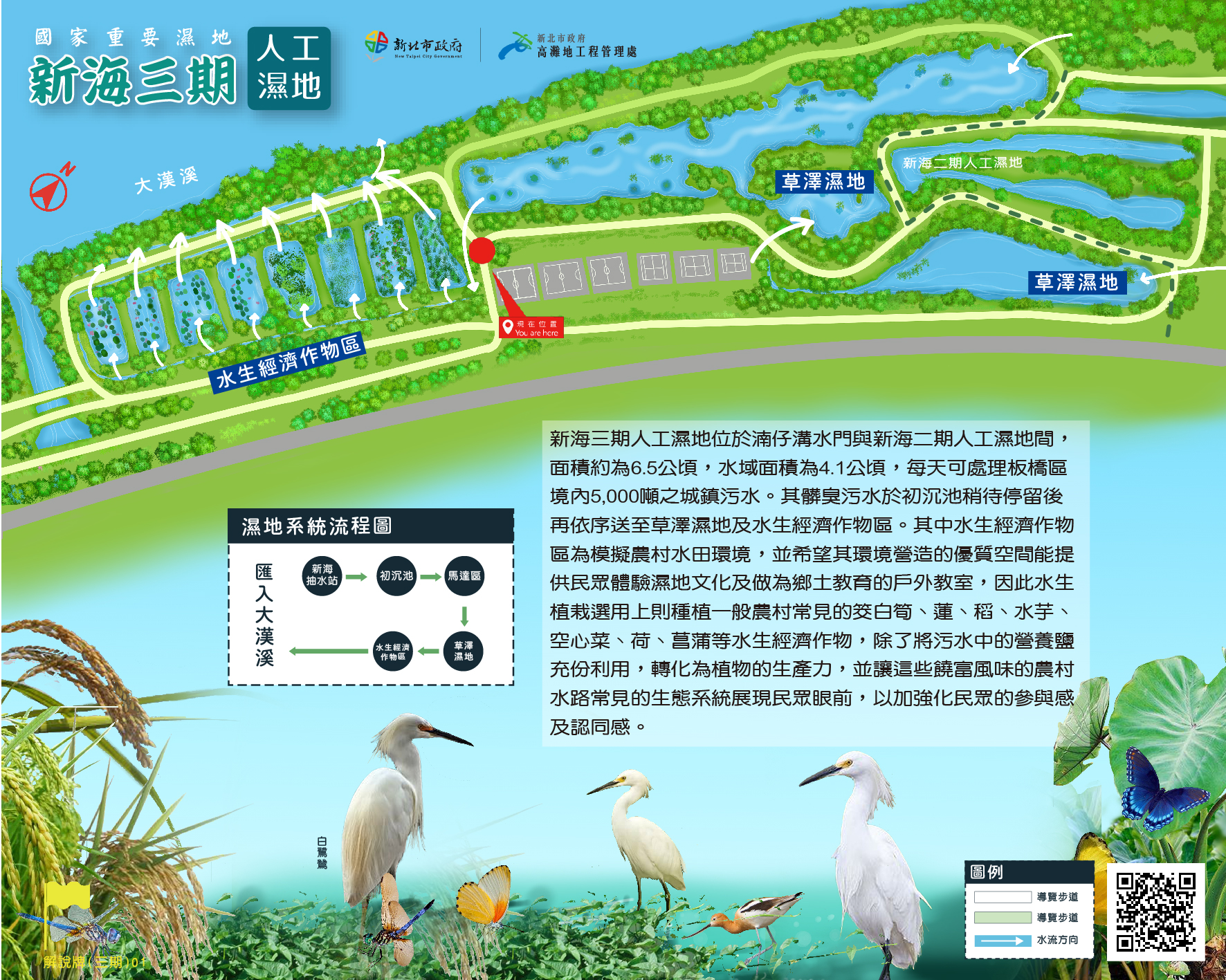 新海三期人工濕地