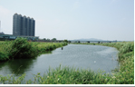 草澤濕地