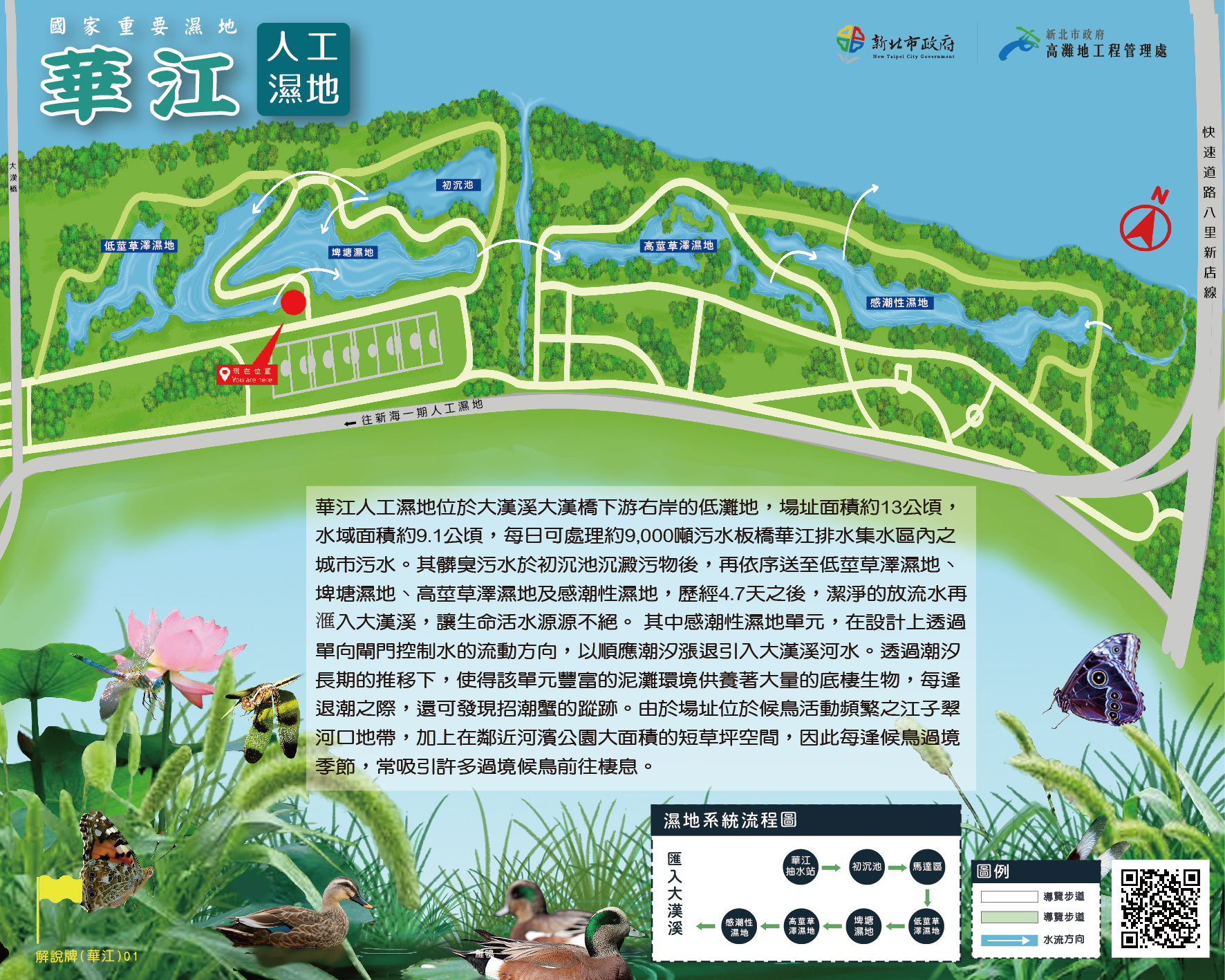 華江人工濕地