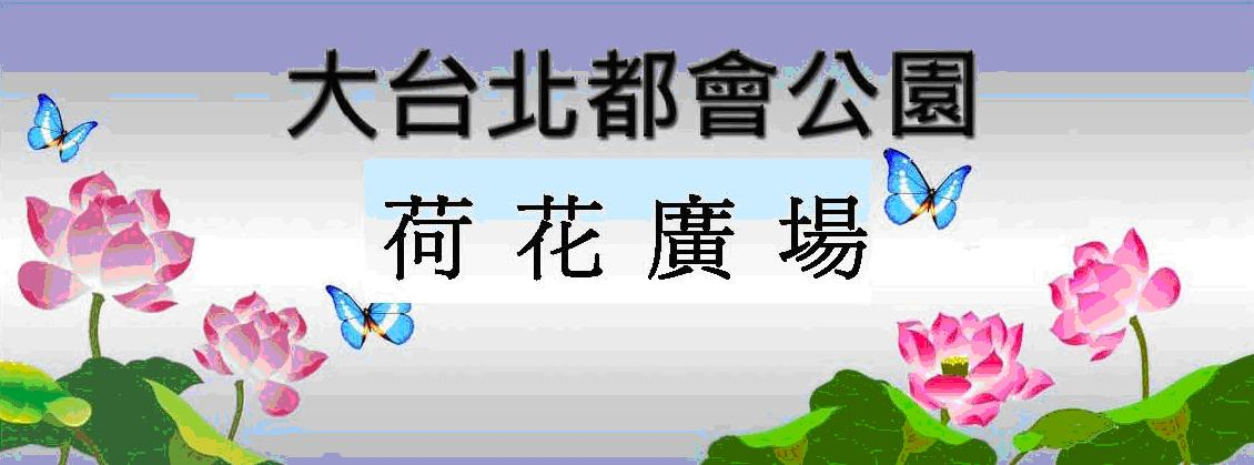 大台北都會公園 荷花廣場