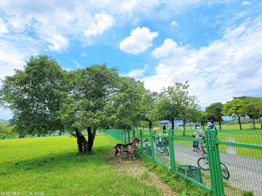 浮州河濱運動公園